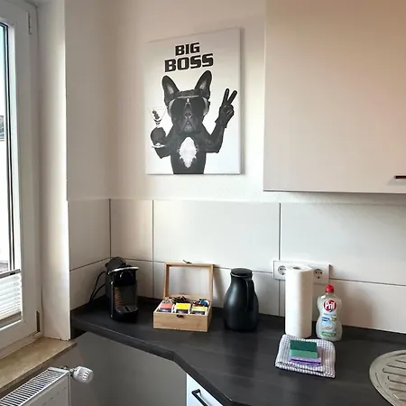 Lejlighed Goeh-moderne In Zentraler Lage, Balkon, Self-check-in, Wlan, Netflix, Disneyplus *